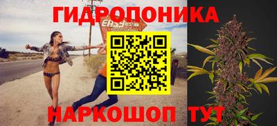 ECSTASY Северобайкальск