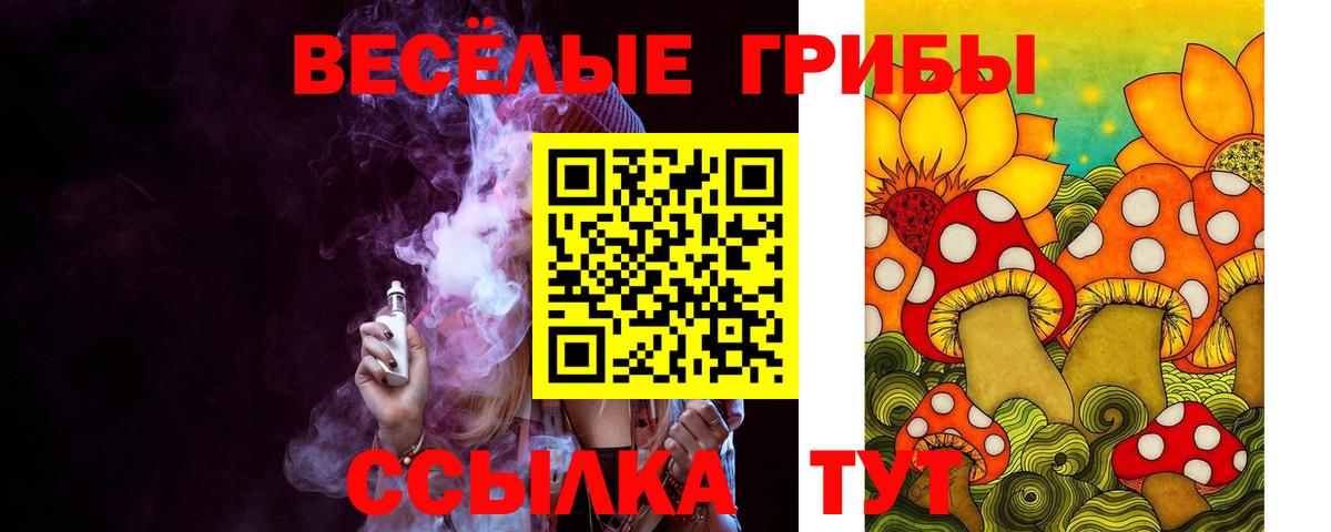 наркотики  Псилоцибиновые грибы мухоморы  Вход с VPN  Новокубанск 