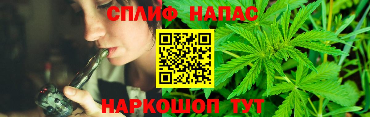 Марихуана индика Новокубанск